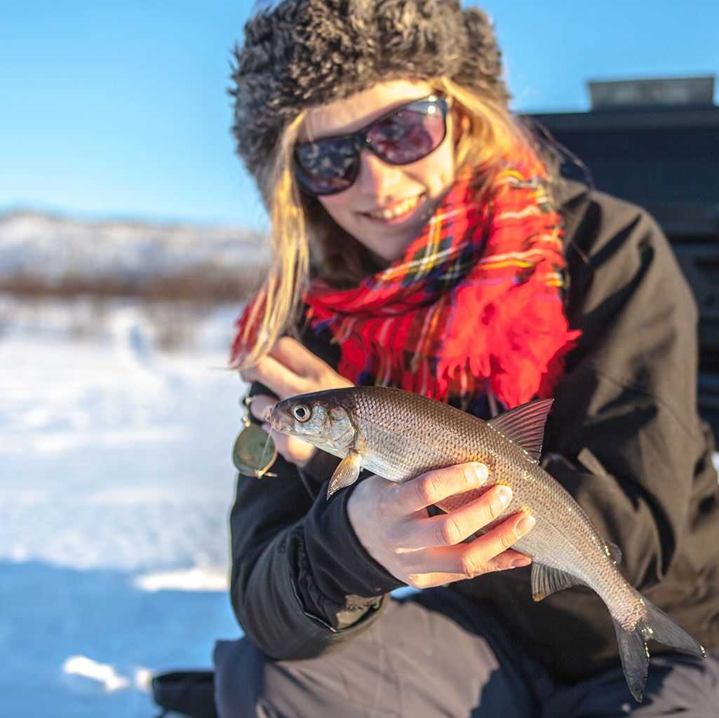 Ice Fishing Day Tour Kiruna