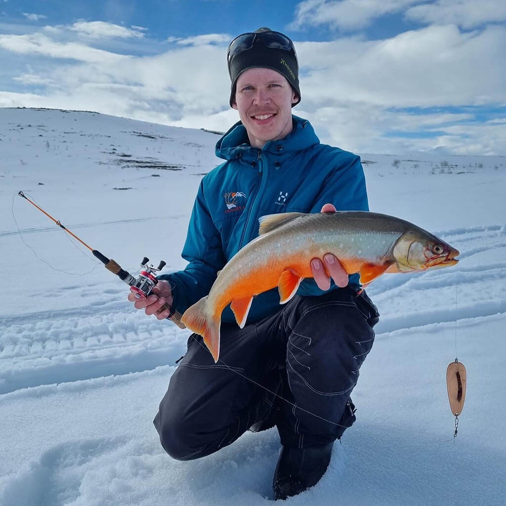 guided winter tours Kiruna